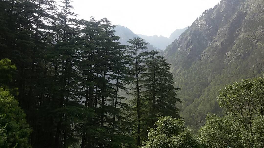 Hotel Deep Forest Kasol Extérieur photo